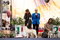 Ruby CACIB Bydgoszcz 15.02.2026